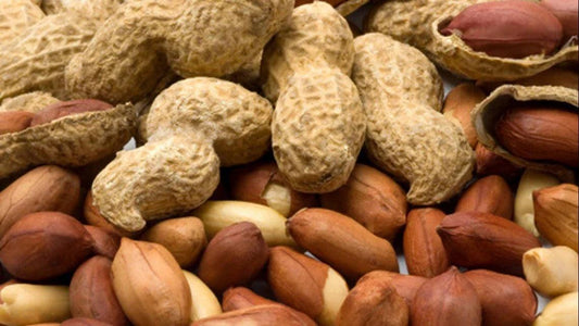 Are Peanuts Peas or Nuts? 7 Surprising Facts - Shakti Dry Fruits