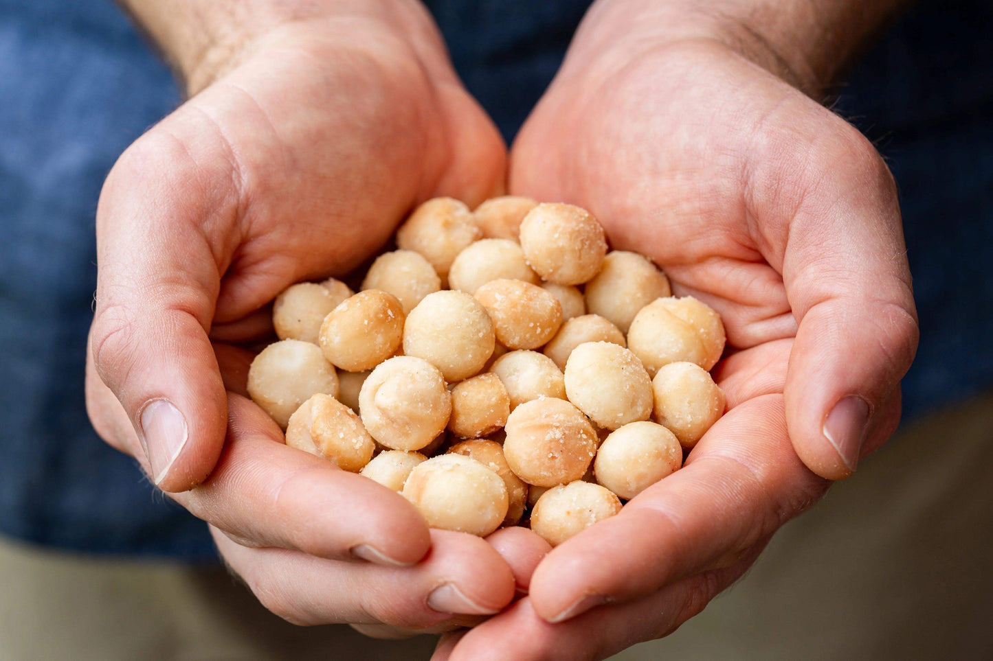 Macadamia Nuts - Shakti Dry Fruits
