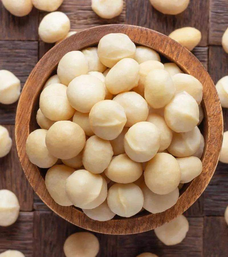 Macadamia Nuts - Shakti Dry Fruits